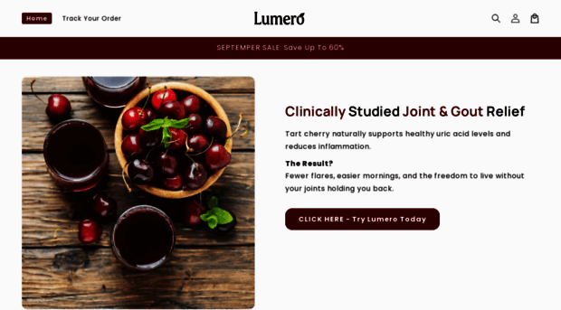 lumeroofficial.com