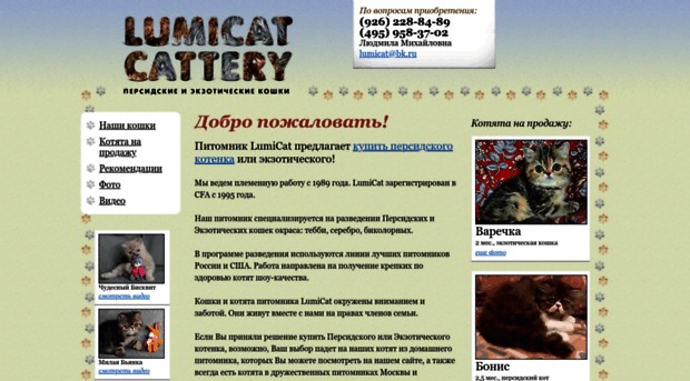 lumicat.ru