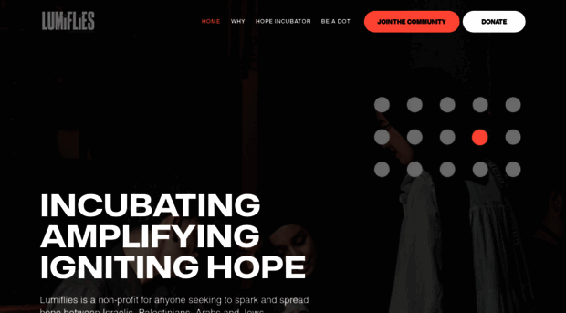 lumiflies.com