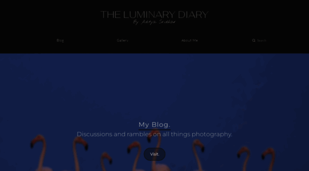 luminarydiary.com
