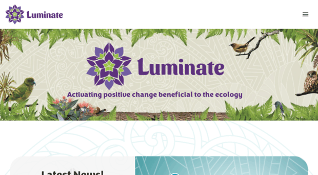 luminatefestival.co.nz