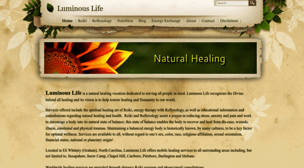 luminouslife.weebly.com
