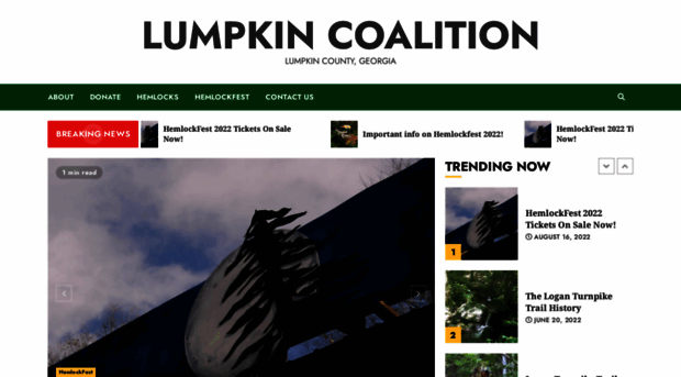 lumpkincoalition.org