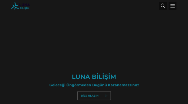 lunabilisim.com.tr
