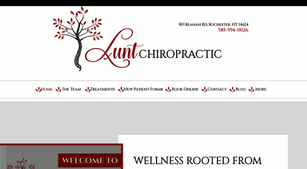 luntchiropractic.com