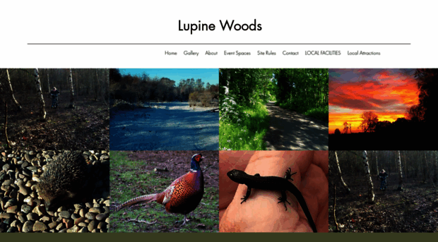 lupinewoods.co.uk