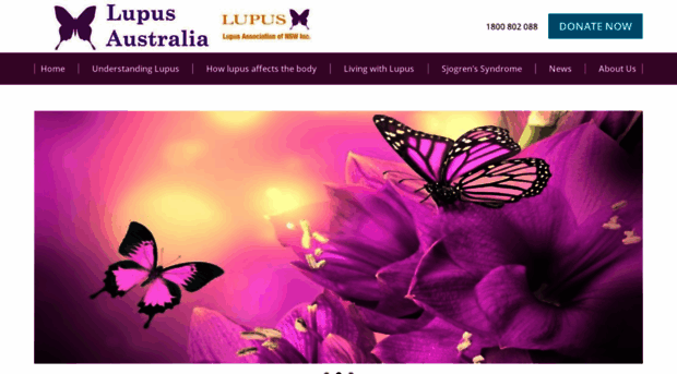 lupusnsw.org.au