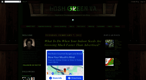 lushgreenva.blogspot.com