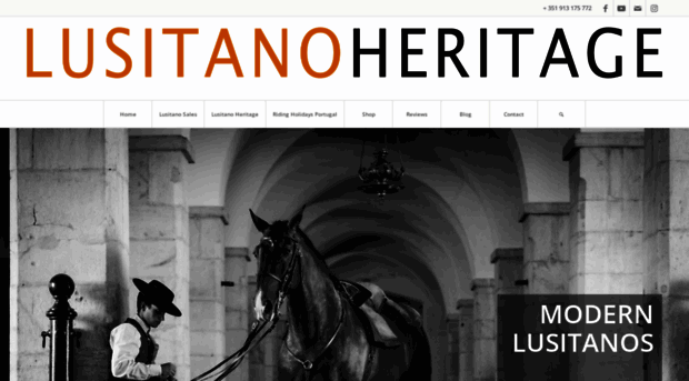 lusitanohorsefinder.com