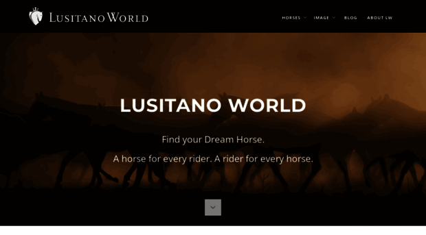 lusitanoworld.com