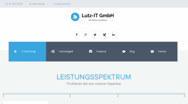 lutzit-consulting.ch