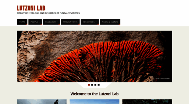 lutzonilab.org