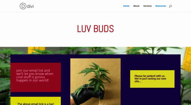 luvbuds.com