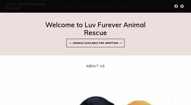luvfureveranimalrescue.org
