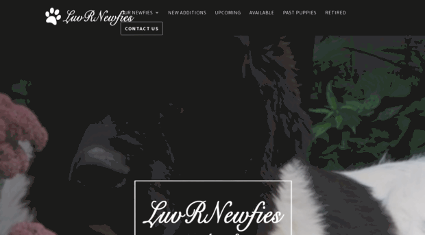 luvrnewfies.com