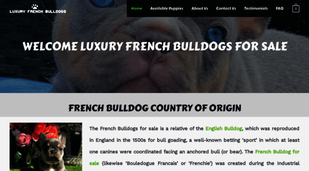 luxuryfrenchbulldogsonline.com