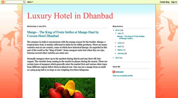 luxuryhotelsindhanbad.blogspot.in