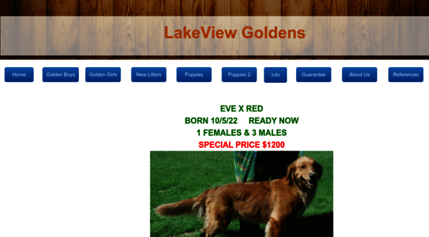 lvgoldens.com