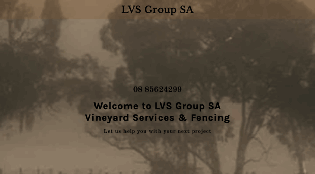 lvsgroupsa.com