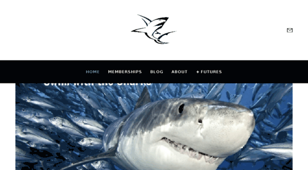 lvwhiteshark.com