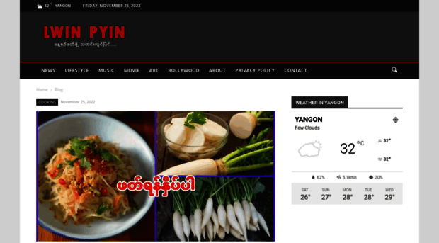 lwinpyin.com