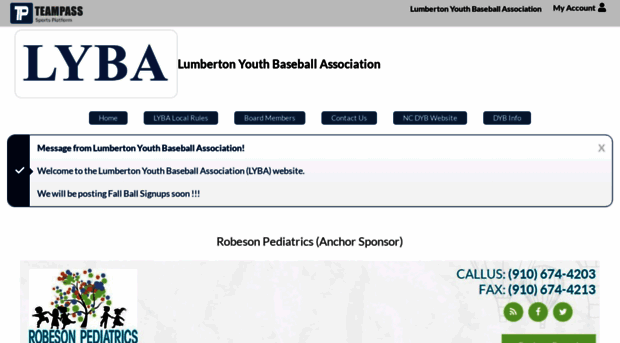 lybabaseball.com