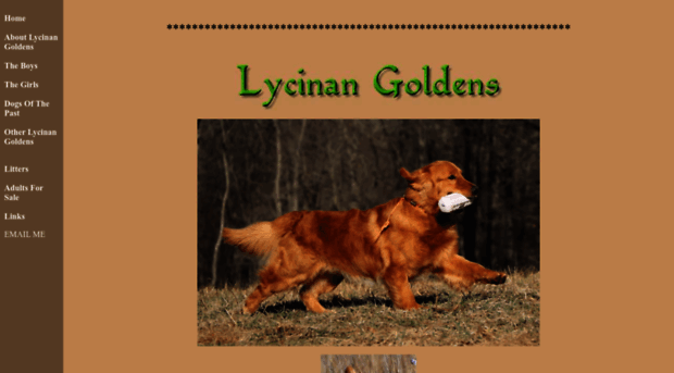 lycinan.com