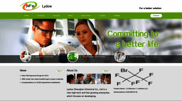 lydow.com