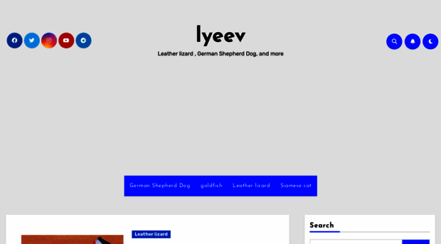 lyeev.com