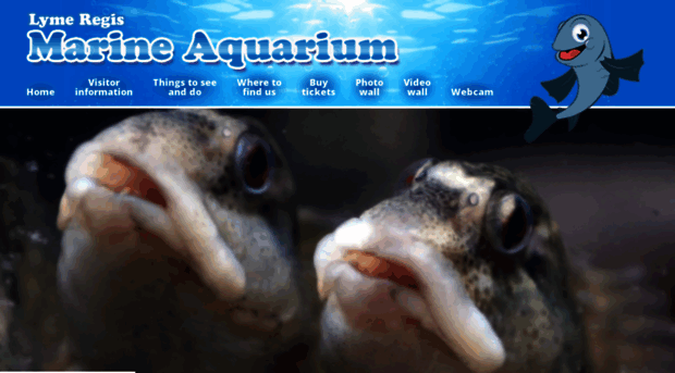 lymeregismarineaquarium.co.uk