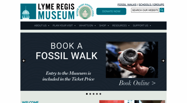 lymeregismuseum.co.uk