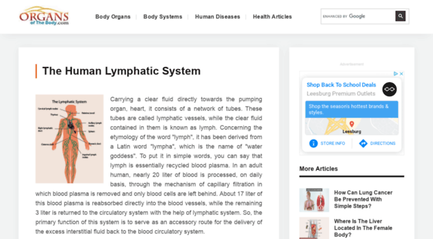 lymphaticsystem.organsofthebody.com