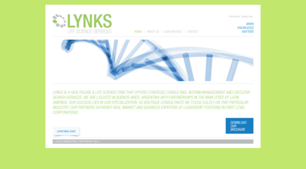 lynks.com.ar