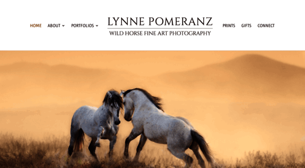 lynnepomeranz.com