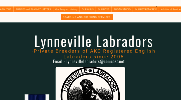 lynnevillelabradors.com