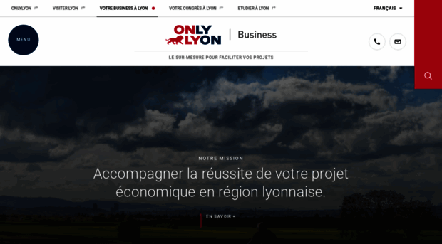 lyon-business.org