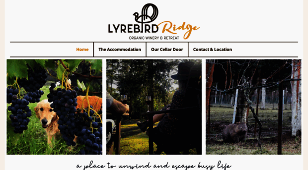 lyrebirdridgewinery.com.au