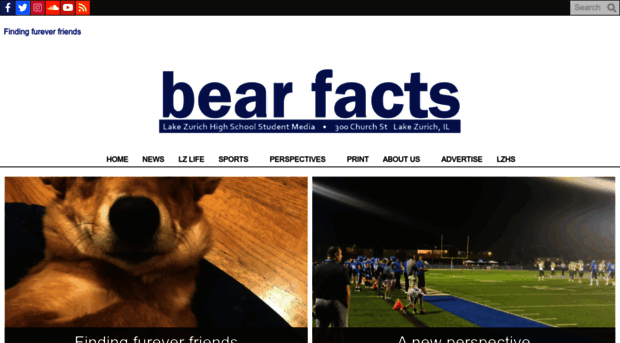 lzbearfacts.com