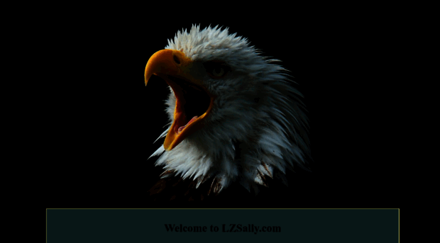 lzsally.com