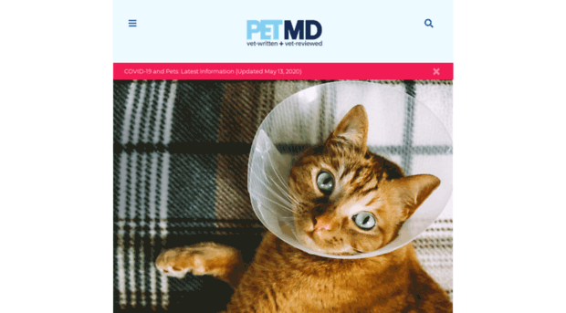 m.petmd.com