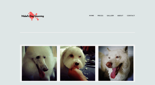 mabelsdoggrooming.com