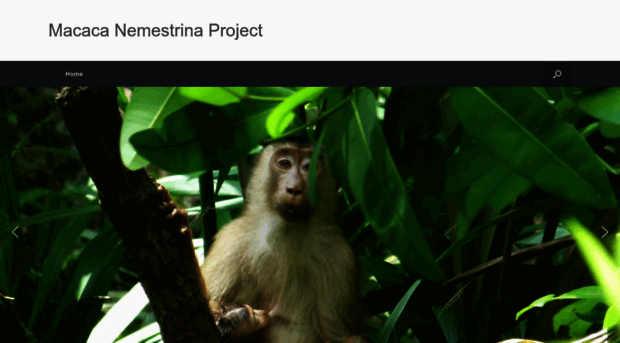 macaca-nemestrina.org