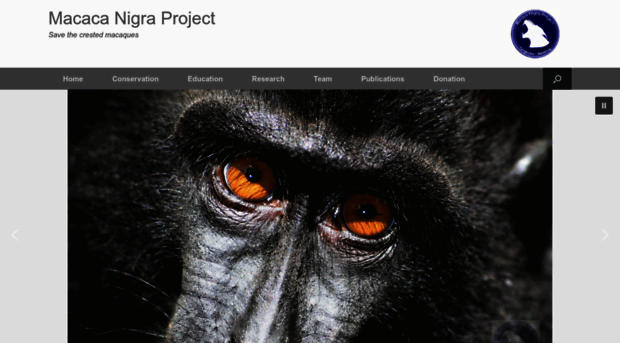 macaca-nigra.org