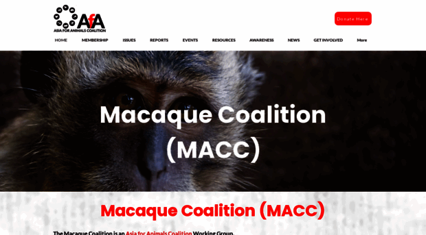 macaquecoalition.com