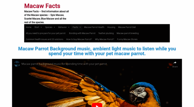 macaw-facts.com