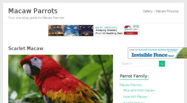macaw-parrot.com