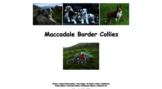 maccadalecollies.co.uk