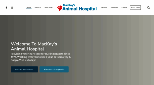 mackaysanimalhospital.com