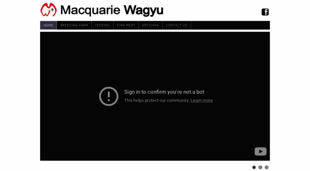 macquariewagyu.com