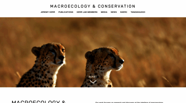 macroecology.ca